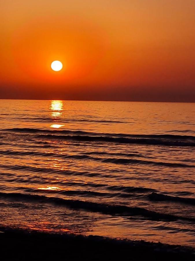 Alex Beach Apartment 31 لارنكا المظهر الخارجي الصورة
