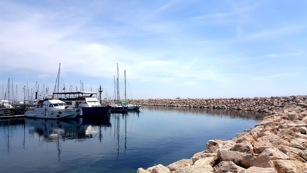 Alex Beach Apartment 31 لارنكا المظهر الخارجي الصورة