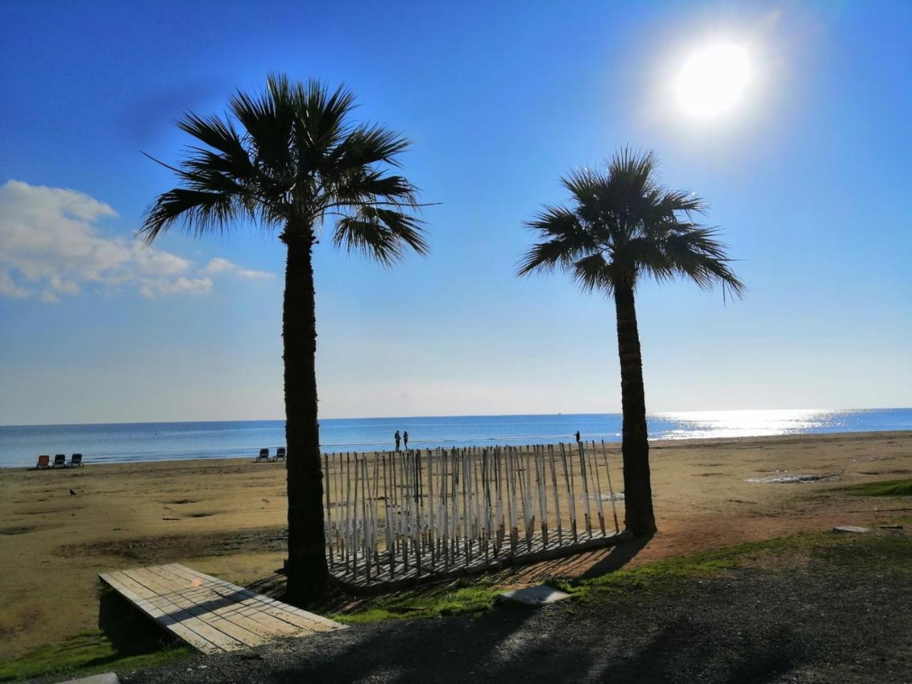 Alex Beach Apartment 31 لارنكا المظهر الخارجي الصورة
